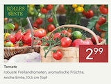 Aktuelles Tomate Angebot bei Pflanzen Kölle in München ab 2,99 €