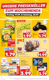 Kaufland Katzenfutter im Prospekt 