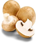 Champignon braun im Angebot bei Netto Marken-Discount in Pforzheim Champignon braun Angebote bei Netto Marken-Discount Pforzheim für 1,79 €