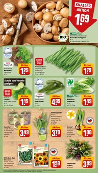 Blumen im REWE Prospekt "Dein Markt" mit 28 Seiten (Augsburg)