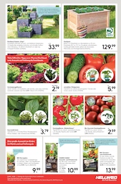 Aktueller Hellweg Prospekt mit Gemüse, "Die Profi-Baumärkte", Seite 19