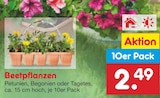 Beetpflanzen im Angebot bei Netto Marken-Discount in Solingen Beetpflanzen Angebote bei Netto Marken-Discount Solingen für 2,49 €
