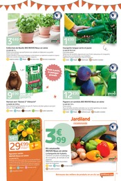 Promos Fruits surgelés dans le catalogue "Jardi'versaire LE TEMPS DE FÊTER ET DE PROFITER" de Jardiland à la page 11