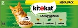 Katzennassnahrung im Portionsbeutel von kitekat im aktuellen Netto mit dem Scottie Prospekt