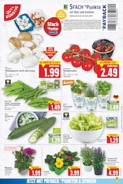 Eisbergsalat Angebot im aktuellen E center Prospekt auf Seite 6