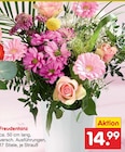 Freudentanz  im aktuellen Netto Marken-Discount Prospekt für 14,99 €