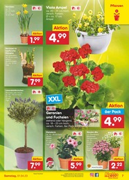 Garten Angebot im aktuellen Netto Marken-Discount Prospekt auf Seite 7