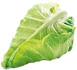 Spitzkohl im Angebot bei REWE in Oberhausen Spitzkohl Angebote von REWE Regional bei REWE Oberhausen für 0,99 €