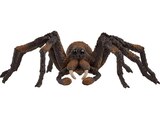 Aragog Spielfigur Mehrfarbig im MediaMarkt Saturn Prospekt Aragog Spielfigur Mehrfarbig von SCHLEICH im aktuellen MediaMarkt Saturn Prospekt für 15,51 €