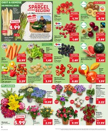 Hortensie im aktuellen Kaufland Prospekt (Oldenburg) Hortensie im Kaufland Prospekt "Aktuelle Angebote" mit 32 Seiten (Oldenburg)