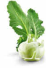 Kohlrabi bei Netto Marken-Discount im Prospekt "" für 1,00 €