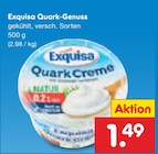 Quark-Genuss Angebote von Exquisa bei Netto Marken-Discount Hildesheim für 1,49 €