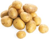 Speisekartoffeln im Angebot bei REWE in Kleve Speisekartoffeln Angebote von REWE Bio bei REWE Kleve für 2,22 €