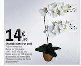 Orchidée dans pot doré en promo chez E.Leclerc Poitiers à 14,90 €