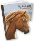 Promo Agenda scolaire cheval à 2,39 € dans le catalogue Super U à Hambach