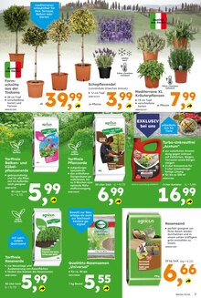 Gartenerde im Globus-Baumarkt Prospekt "Immer eine Idee besser" mit 16 Seiten (Hamm)