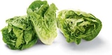 Mini Romana Salat im Angebot bei Netto Marken-Discount in Kassel Mini Romana Salat Angebote bei Netto Marken-Discount Kassel für 1,00 €
