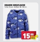 Aktuelles Knaben Sweatjacke Angebot bei E center in Wiesbaden ab 15,00 €