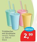 Trinkbecher mit Strohhalm Angebote bei budni Seevetal für 2,99 €