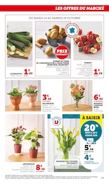 Prix et réduction Aménagement Extérieur dans le prospectus Super U en cours Offre Aménagement Extérieur dans le catalogue Super U du moment à la page 29