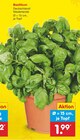 Netto Marken-Discount Wemding Prospekt mit  im Angebot für 1,49 €