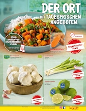 Aktueller Netto Marken-Discount Prospekt mit Knoblauch, "Aktuelle Angebote", Seite 17