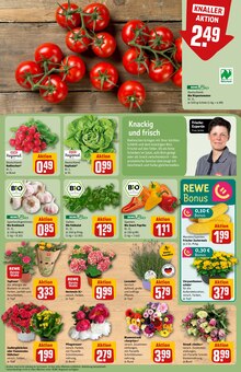 Pflanzen im REWE Prospekt "Dein Markt" mit 26 Seiten (Bielefeld)