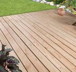 Terrassendiele Douglasie im Angebot bei Hagebaumarkt in Halberstadt Terrassendiele Douglasie Angebote von Mr. Gardener bei Hagebaumarkt Halberstadt für 2,99 €