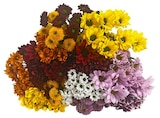 Blumenstrauß »Chrysanthemen mit Santini« im REWE Prospekt Blumenstrauß »Chrysanthemen mit Santini« von im aktuellen REWE Prospekt für 4,79 €
