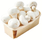 Champignon blanc en promo chez Netto Toulon à 1,69 €