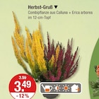 Herbst-Gruß für 3,49 € bei V-Markt im Angebot Herbst-Gruß im aktuellen V-Markt Prospekt