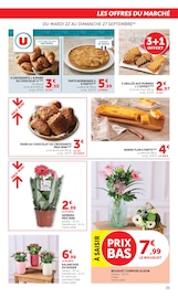 Jardinage en promo dans le catalogue Super U à la page 35