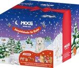 Adventskalender 2025 Wachse Wild im Angebot bei dm-drogerie markt in Buchholz Adventskalender 2025 Wachse Wild Angebote von MOGLi bei dm-drogerie markt Buchholz für 29,95 €