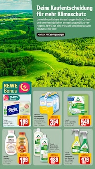 Taschentücher im REWE Prospekt "Dein Markt" mit 20 Seiten (Kiel)