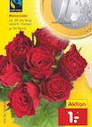 Moosrosen im Netto Marken-Discount Prospekt Moosrosen von im aktuellen Netto Marken-Discount Prospekt für 1,00 €