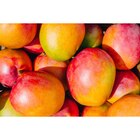 Mangue en promo chez Carrefour Mangue dans le catalogue Carrefour