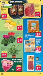 Blumen im Netto mit dem Scottie Prospekt in Neubrandenburg Aktueller Netto mit dem Scottie Prospekt mit Blumen, "Günstig. Besser. Für Dich.", Seite 26