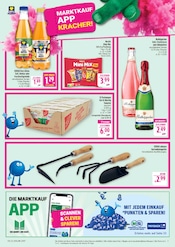 Aktueller Marktkauf Prospekt mit Rotkäppchen Sekt, "AUSWAHL RIESIG, PREISE NIEDRIG", Seite 5