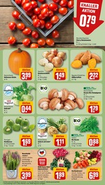 Aktueller REWE Prospekt mit Zimmerpflanzen, "Dein Markt", Seite 7
