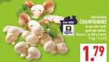 Aktuelles Champignons Angebot bei Marktkauf in Wuppertal ab 1,79 €