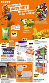 OBI Baumärkte Prospekt der aktuellen Woche mit 8 Seiten, gültig von 28.02.2026 bis 06.03.2026, in Steffenberg und Umgebung Aktueller OBI Baumärkte Prospekt in Steffenberg und Umgebung, "BIBERSTARKE ANGEBOTE" mit 8 Seiten, 28.02.2026 - 06.03.2026