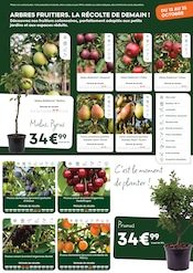 Fruits Et Légumes en promo dans le catalogue Ma Jardinerie à la page 5