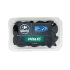 Moules de Hollande CARREFOUR Le Marché MSC - CARREFOUR. en promo chez Carrefour Béziers à 5,99 €