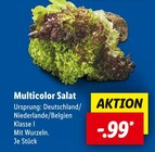 Multicolor Salat Angebote bei Lidl Wiesbaden für 0,99 €