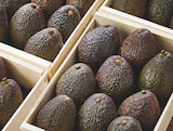 Avocat Affiné - Netto Avocat Affiné à 1,98 € dans le catalogue Netto