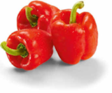 Paprika rot im Angebot bei Netto Marken-Discount in Königswinter Paprika rot Angebote bei Netto Marken-Discount Königswinter für 1,35 €