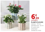 Plante fleurie en promo chez U Express Boulogne-Billancourt à 6,99 €