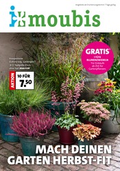 Aktueller Moubis Pflanzenhof Garten & Pflanzen Prospekt in Steinfurt und Umgebung, "MACH DEINEN GARTEN HERBST-FIT" mit 8 Seiten, 20.09.2025 - 26.09.2025
