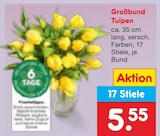 Großbund Tulpen Angebote bei Netto Marken-Discount Warendorf für 5,55 €