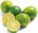 Limetten im aktuellen Netto mit dem Scottie Prospekt